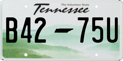 TN license plate B4275U