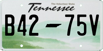 TN license plate B4275V