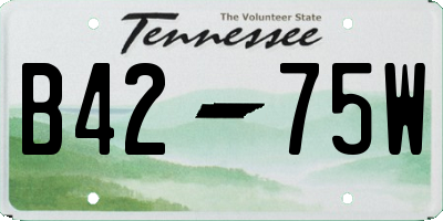 TN license plate B4275W