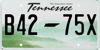 TN license plate B4275X