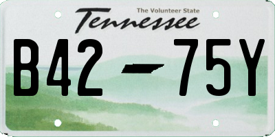 TN license plate B4275Y