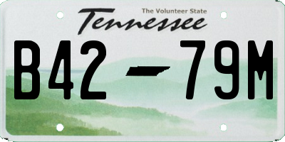TN license plate B4279M