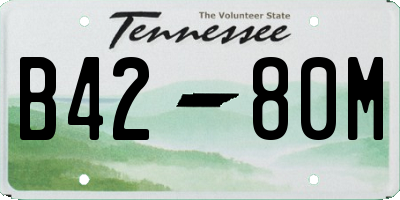 TN license plate B4280M