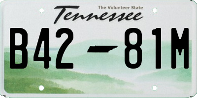 TN license plate B4281M