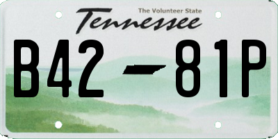 TN license plate B4281P