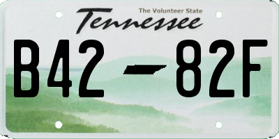 TN license plate B4282F