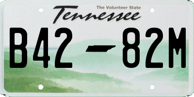 TN license plate B4282M