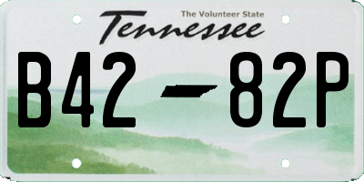 TN license plate B4282P