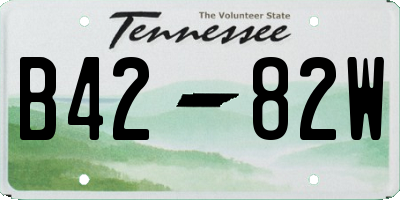TN license plate B4282W