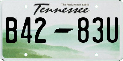 TN license plate B4283U
