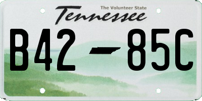 TN license plate B4285C