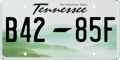 TN license plate B4285F