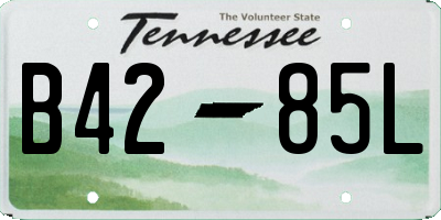 TN license plate B4285L