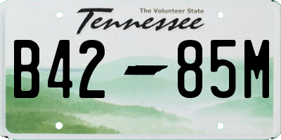 TN license plate B4285M