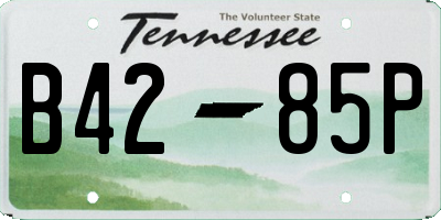 TN license plate B4285P