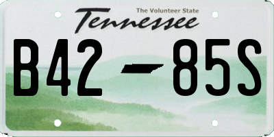 TN license plate B4285S