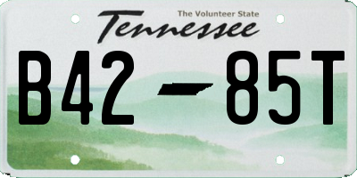 TN license plate B4285T