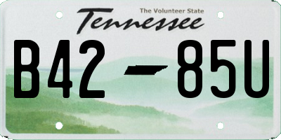 TN license plate B4285U