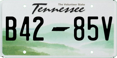 TN license plate B4285V