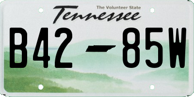 TN license plate B4285W