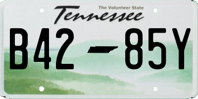 TN license plate B4285Y