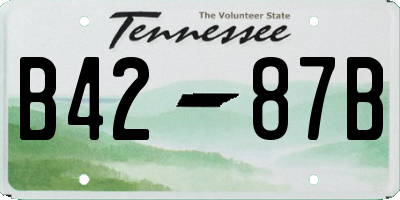TN license plate B4287B
