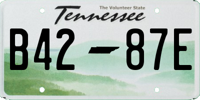 TN license plate B4287E