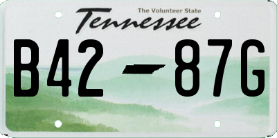 TN license plate B4287G