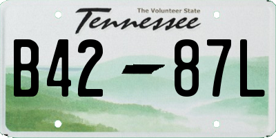 TN license plate B4287L