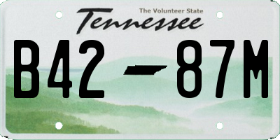 TN license plate B4287M
