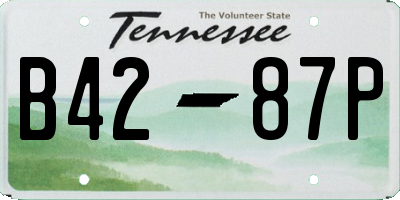 TN license plate B4287P