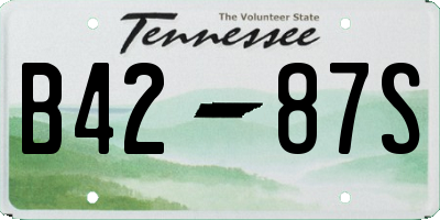 TN license plate B4287S