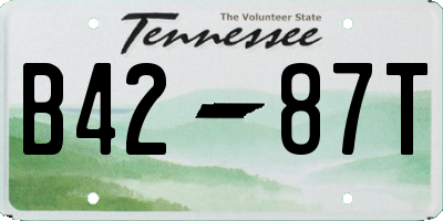 TN license plate B4287T