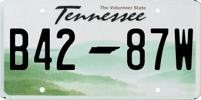 TN license plate B4287W