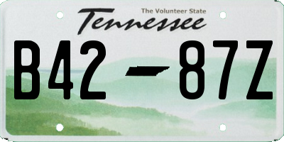 TN license plate B4287Z