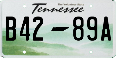TN license plate B4289A