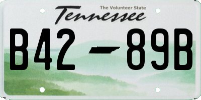 TN license plate B4289B