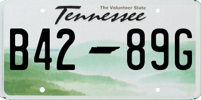 TN license plate B4289G