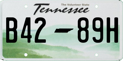 TN license plate B4289H