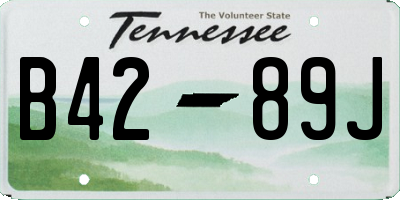 TN license plate B4289J