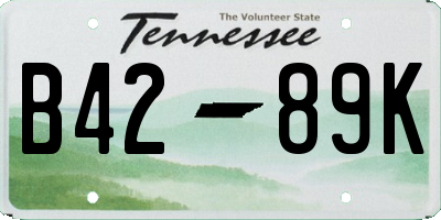 TN license plate B4289K