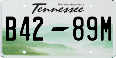 TN license plate B4289M