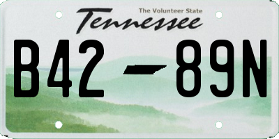 TN license plate B4289N