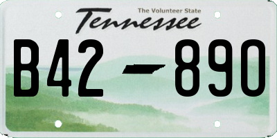 TN license plate B4289O