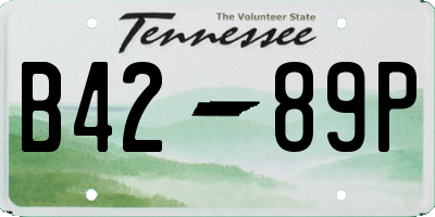 TN license plate B4289P