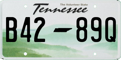 TN license plate B4289Q