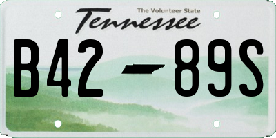 TN license plate B4289S
