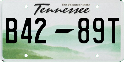 TN license plate B4289T