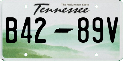 TN license plate B4289V