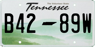 TN license plate B4289W